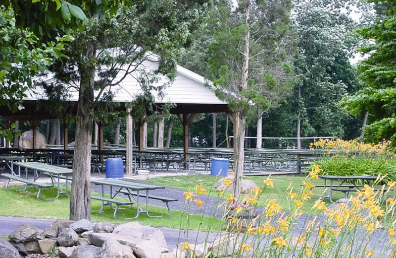 Picnic area at Eisenhower Hotel & Conference Center.