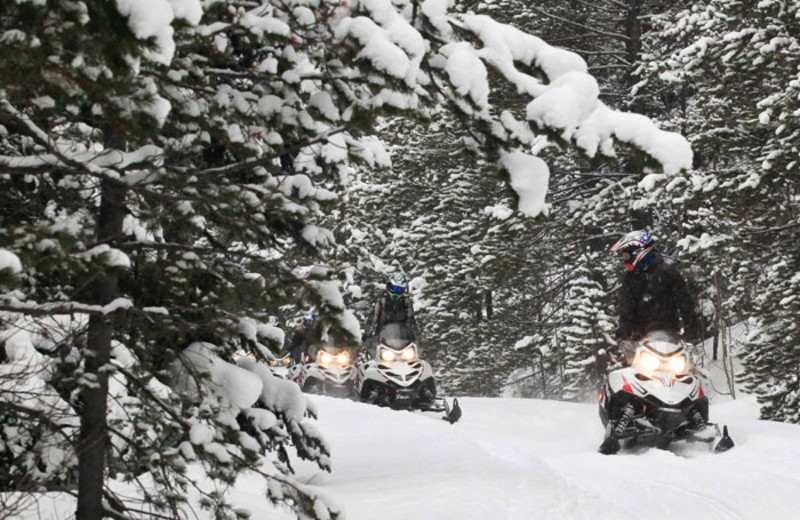 Winter Activities at Aspen Canyon Ranch