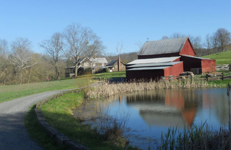 Cottages at Creekside Resort.