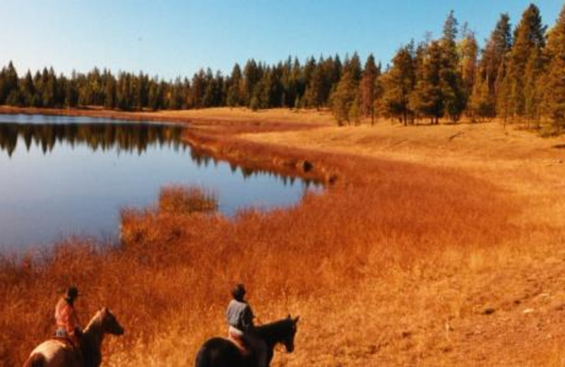 Horseback Riding at Siwash Lake Ranch