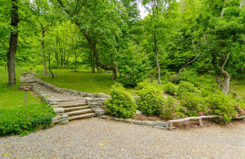 Rental garden at Asheville Connections.