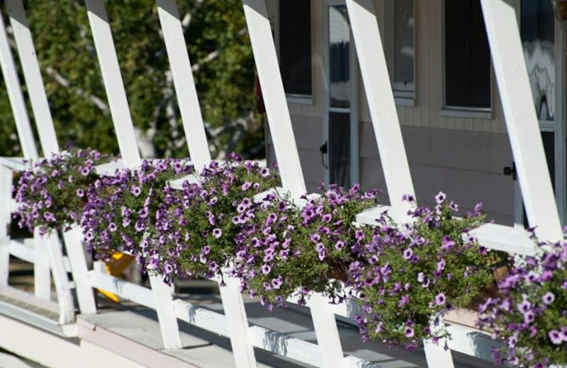 Porch Flowers at Beachfront Inn