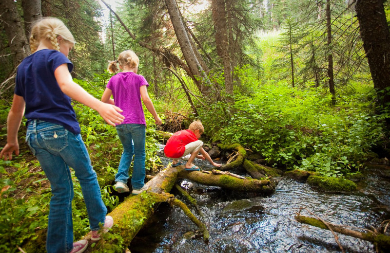 Family hiking in woods at Inn at Aspen.