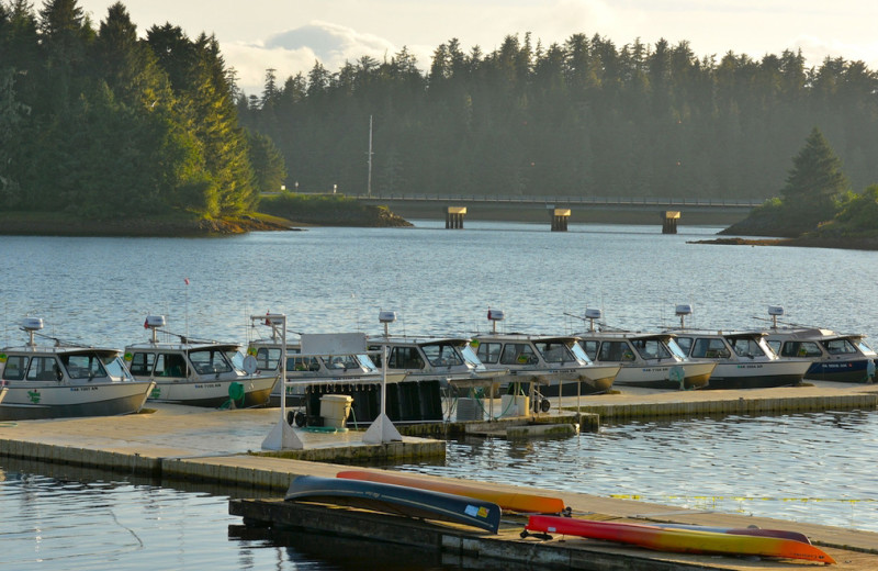 Dock at The Fireweed Lodge.