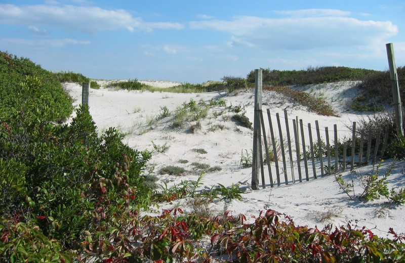 Island Beach State Park near Seaside Heights Apartments.