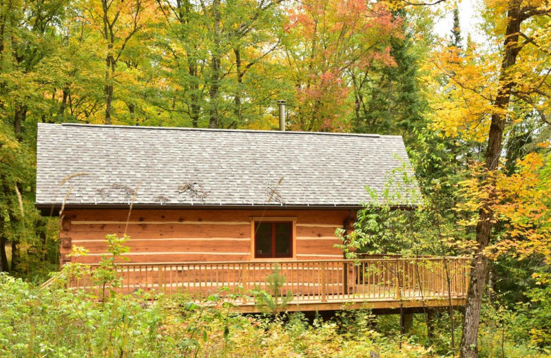 Cabin exterior at Wolf Den Hostel and Nature Retreat.