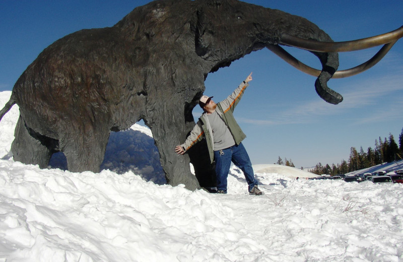 Winter time at Mammoth Property Reservations.