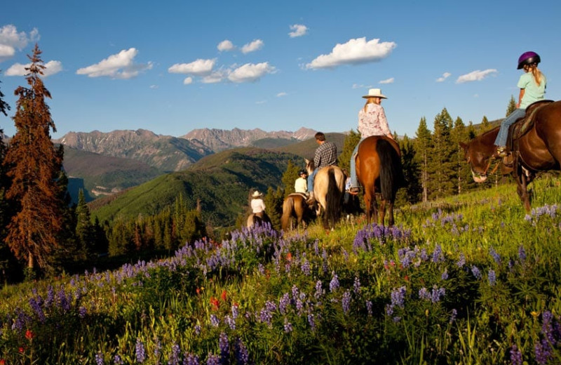 Horseback riding at Grand Timber Lodge.