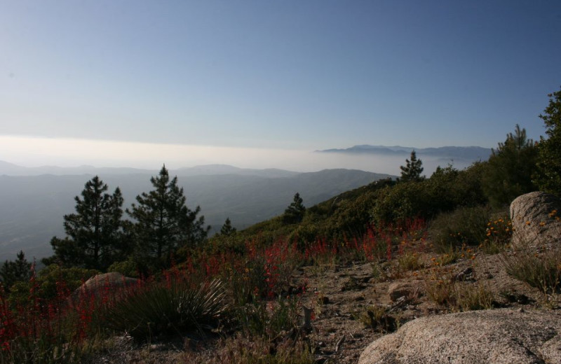 Mountains at Idyllwild Vacation Cabins.