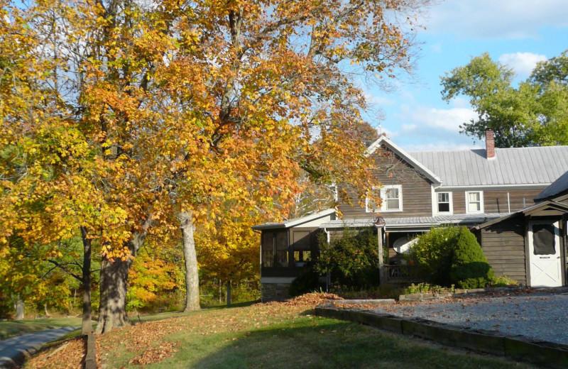 Fall foliage at Creekside Resort.