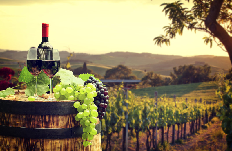 Vineyard near Inn At Lake Joseph.
