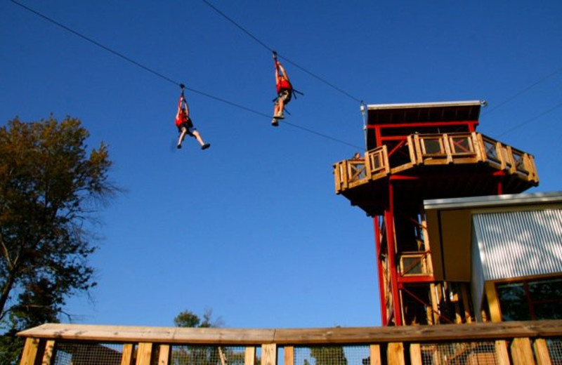 northbay north east md resort reviews resortsandlodges com north bay adventure camp