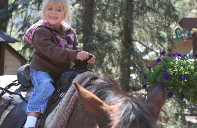 Horseback riding at Elk Point Lodge.