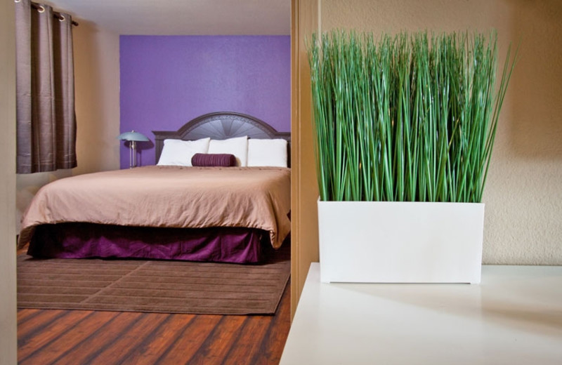 Guest Room at Alura Inn