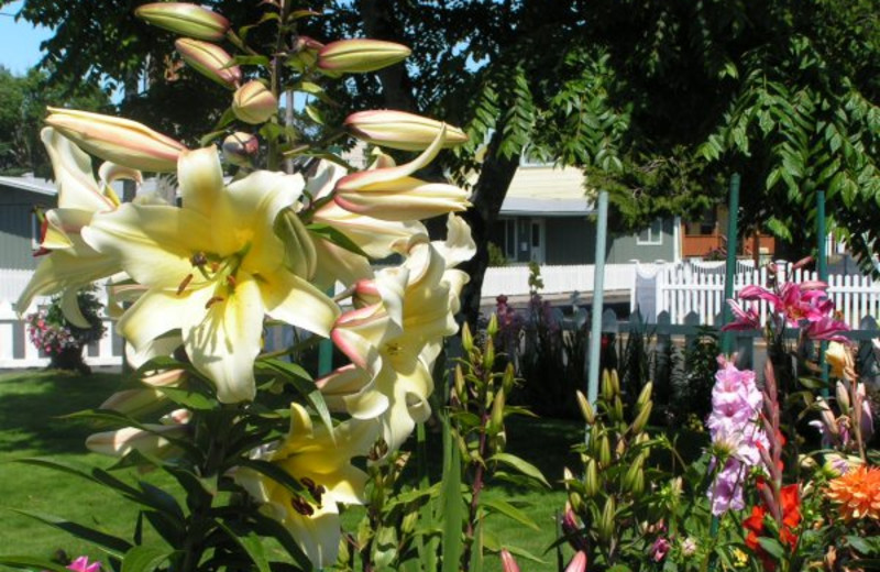 Beautiful gardens at Weiss' Paradise Suites.