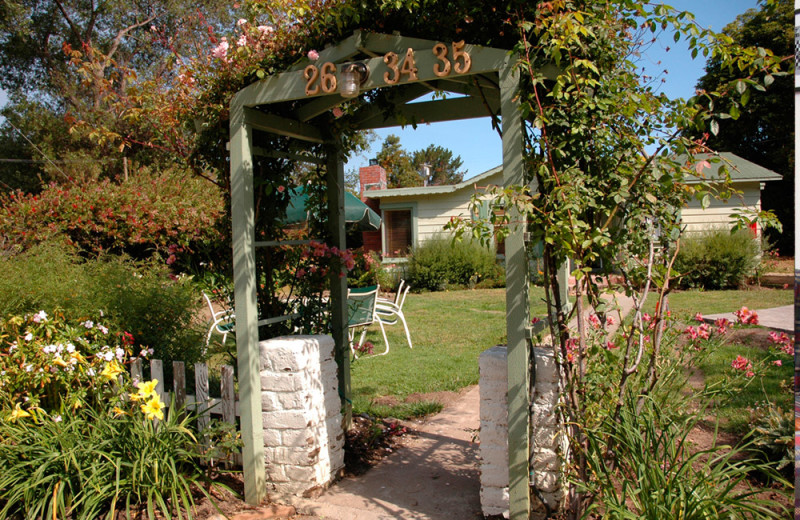 Garden at Carmel River Inn.