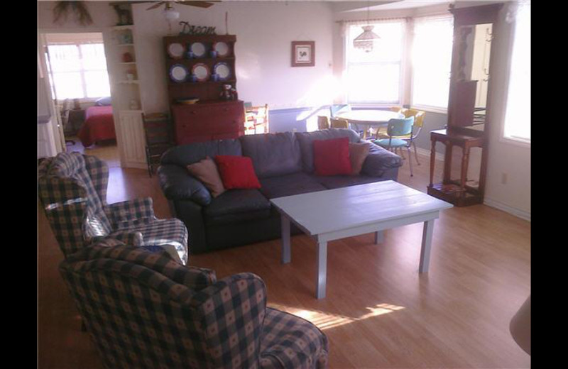 Rental living room at Carico's Lake House on LBJ.