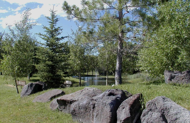 Scenic view at Aspen Grove Inn.