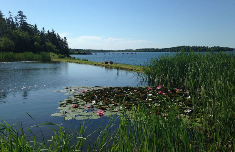 Scenic view of Rossport Lodging & Retreat.