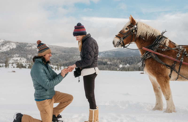 Marriage proposal at Vista Verde Ranch.