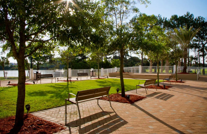 Park near Laketown Wharf.