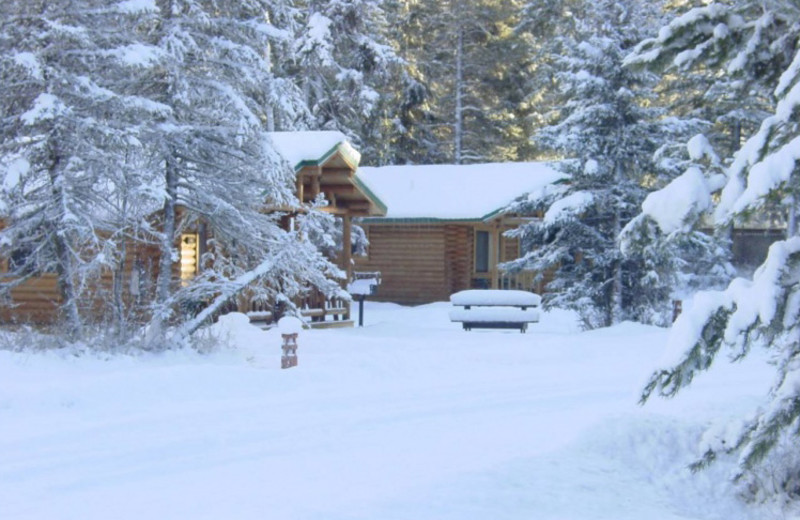 Cabin exterior at North Forty Resort.