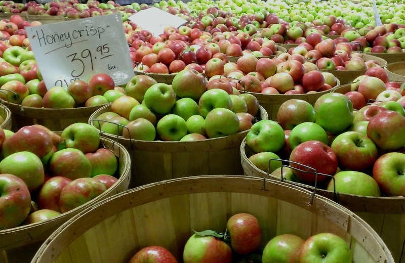 Farmers market at Berlin Grande Hotel.