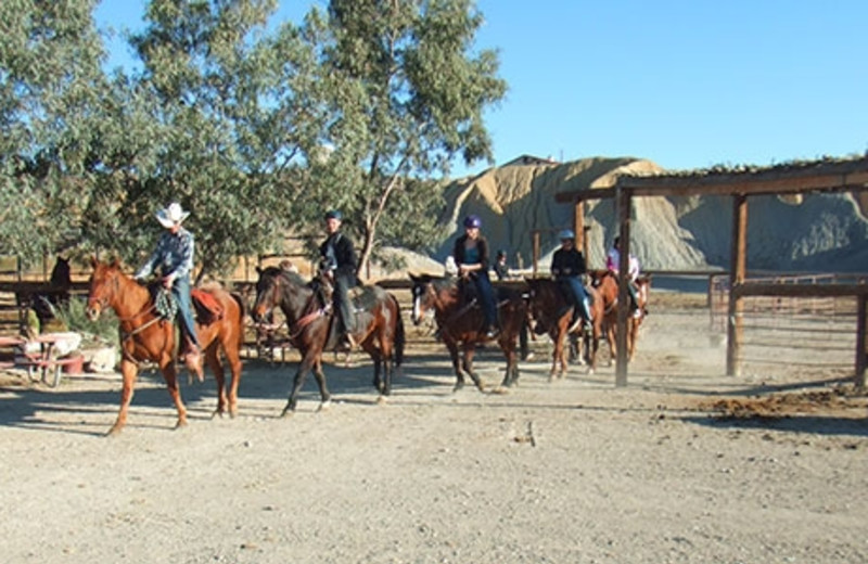 Trail Rides at Big Bend Overland Tours