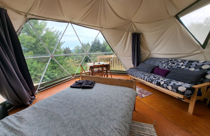 Dome interior at Cabot Shores Wilderness Resort.