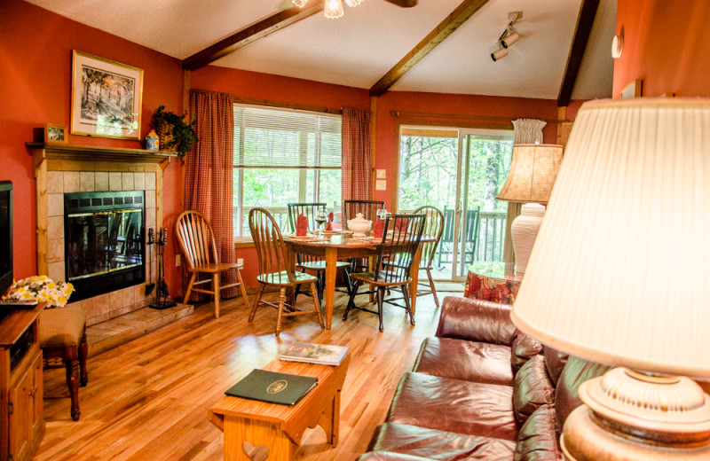 Cabin living room at Asheville Cabins of Willow Winds.