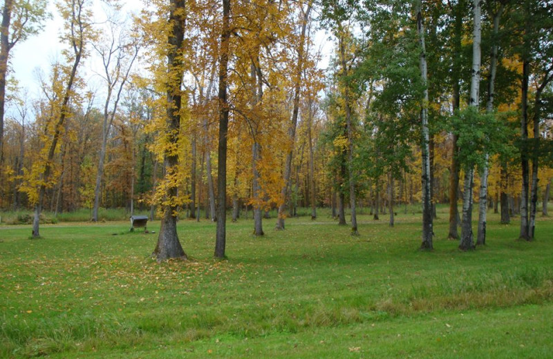 Grounds at Wildwood Inn Bed & Breakfast.