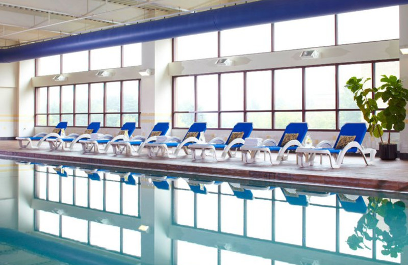 Indoor Pool at the Renaissance Asheville Hotel