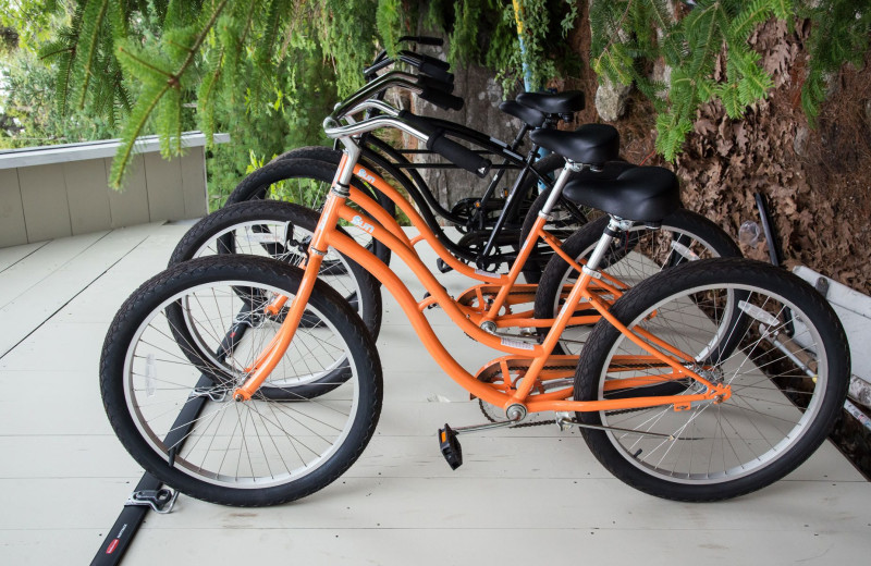 Bikes at Linekin Bay Resort.
