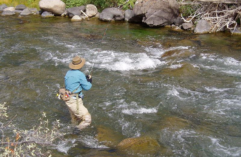 Fishing at Aunt Bug's Cabin Rentals, LLC.