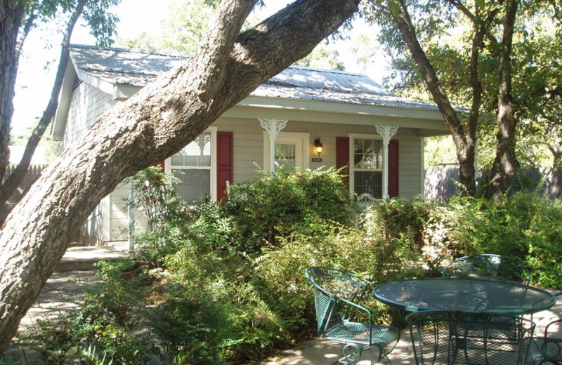 Exterior view of Camp David Bed & Breakfast.