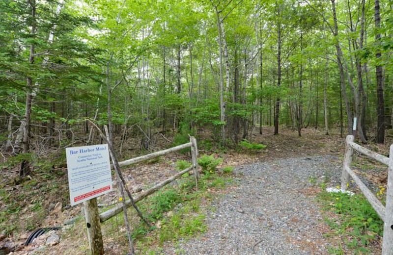 Nature trail at Bar Harbor Motel.