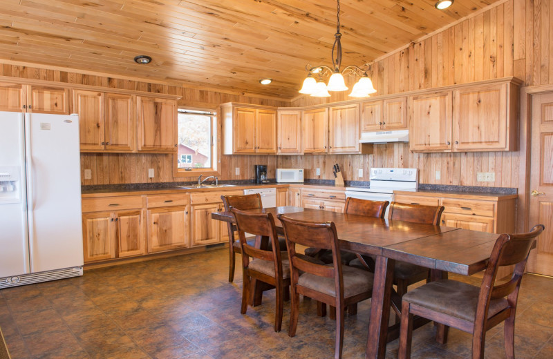 Cabin kitchen at Hiawatha Beach Resort.