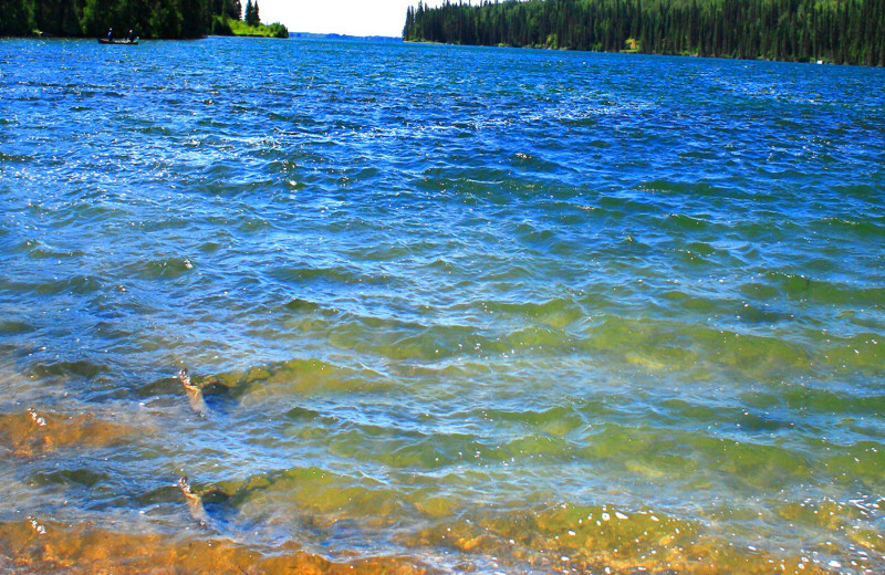 Fishing at The Cottages At Clear Lake.