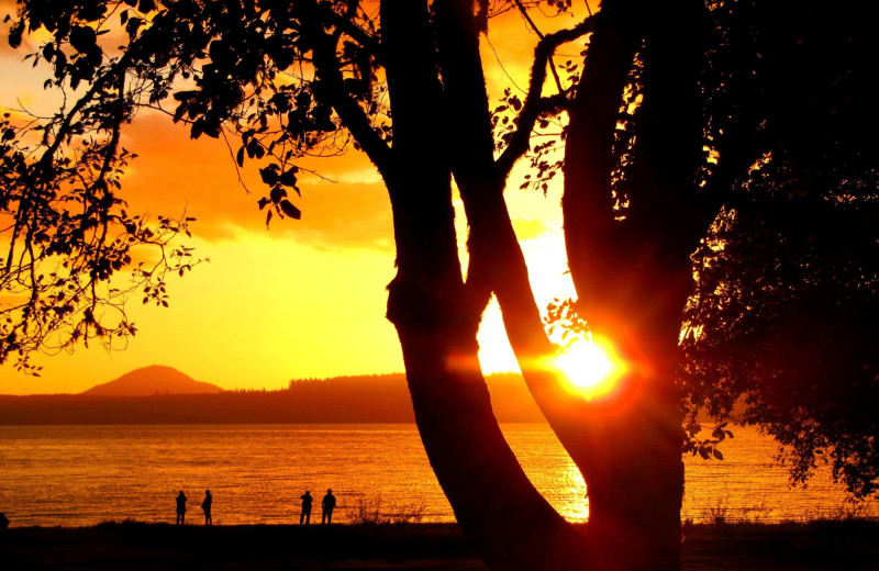 Sunset at Rain Forest Resort Village.