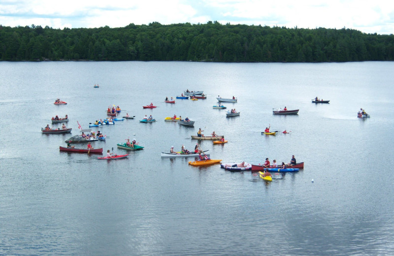 Lake view at Great Blue Resorts- Bonnie Lake Resort.