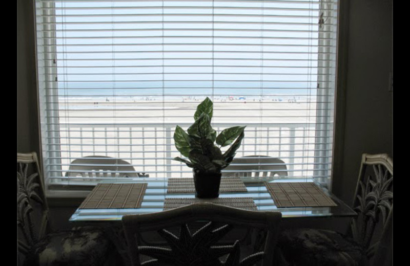 View from Paradise Oceanfront Resort.