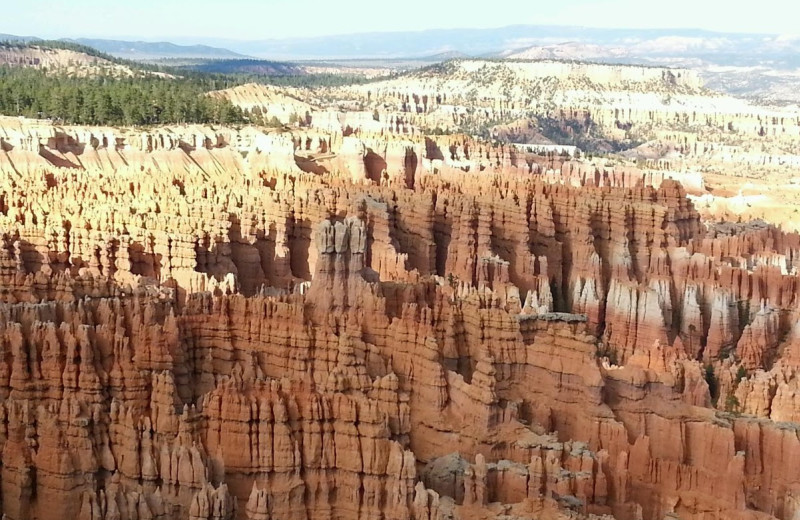 Bryce Canyon at Bryce View Lodge.