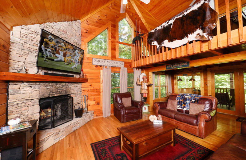 Cabin living room at Little Valley Mountain Resort.