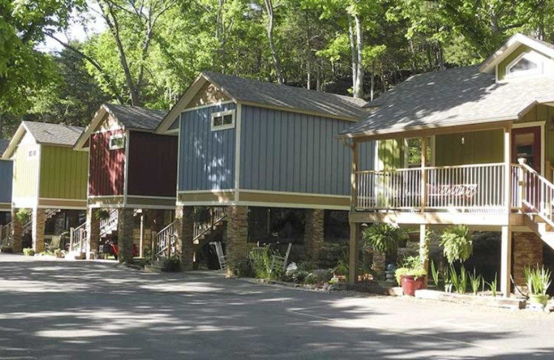 Tree houses at All Seasons Luxury Properties.