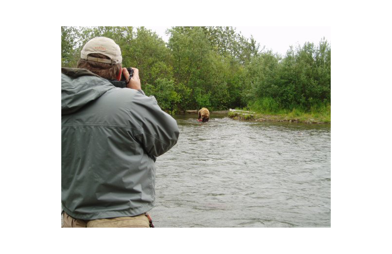 Bear watching at Naknek River Camp.