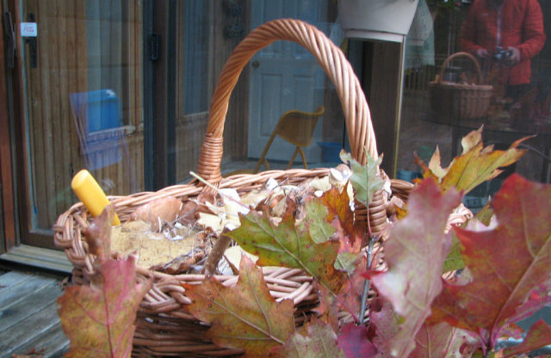 Basket at Artex Club.