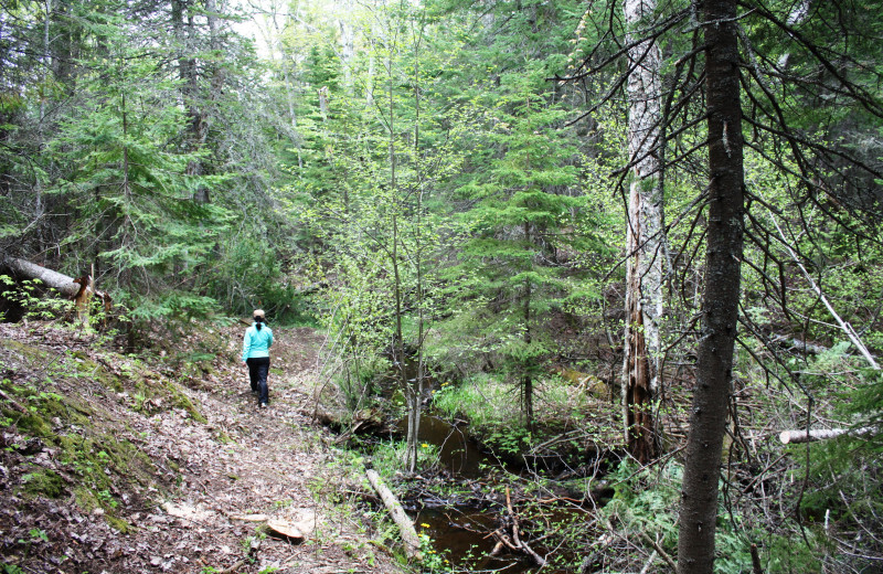 Hiking through the woods at Aqua Log Cabin Resort.