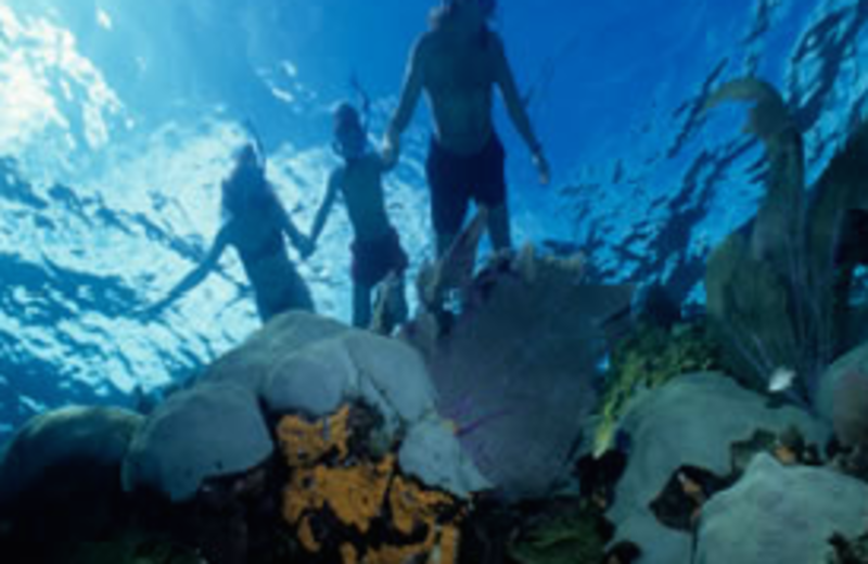 Diving at Caribbean Club.