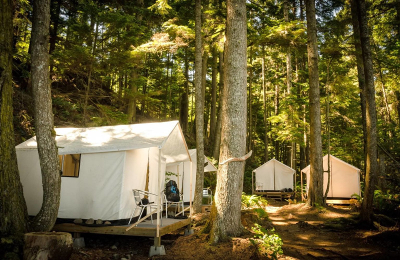 Tents at Orca Camp.