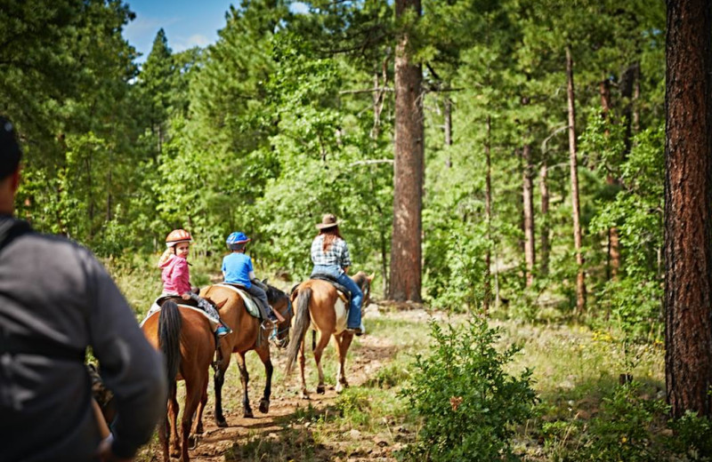 Horseback riding at Mormon Lake Lodge.